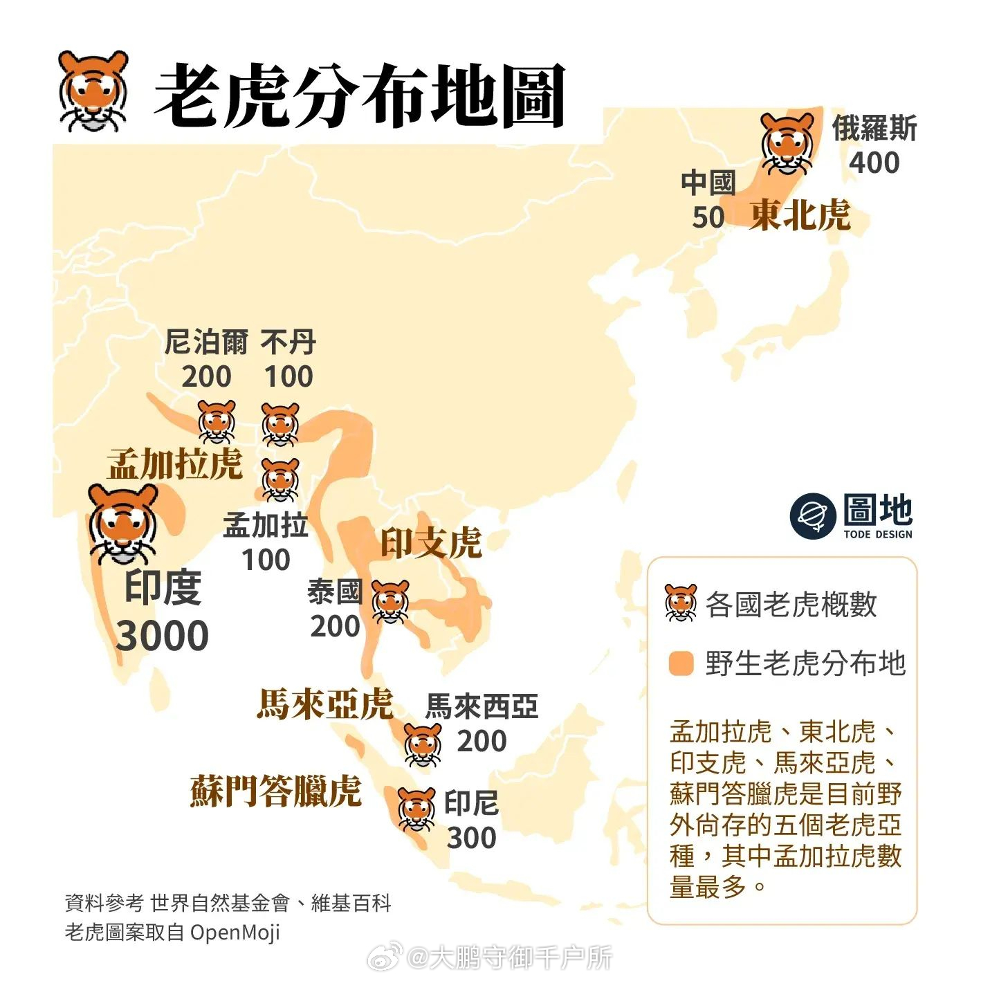 揭秘四虎最新信息，引领未来科技趋势的探索之旅