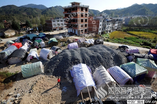 金寨地震最新消息2015，全面解析与深度探讨深度报告