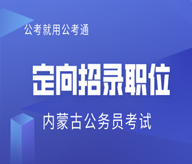 内蒙古公务员在线网，数字化政务服务的领航平台