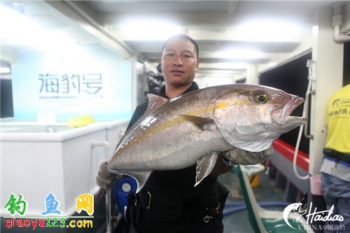 四海钩鱼频道直播，海洋世界的探索之旅