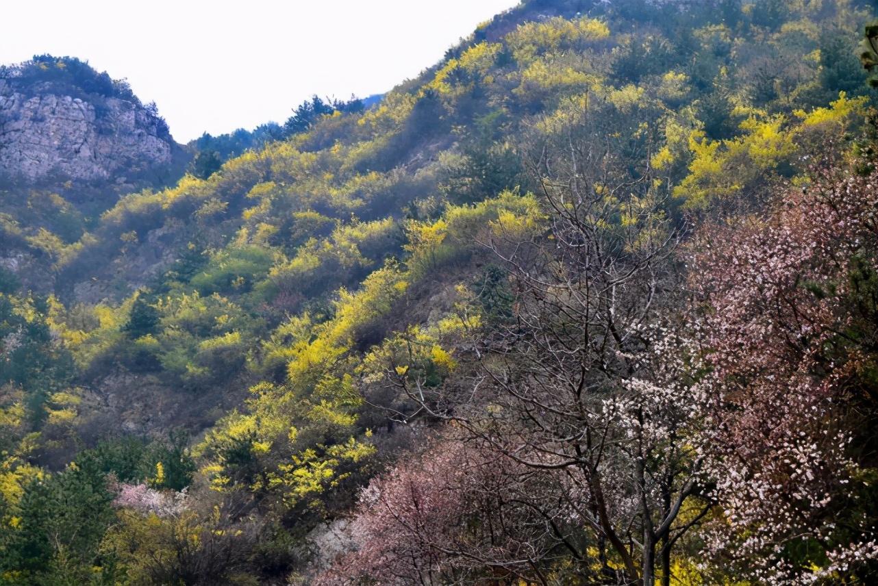 乡村电影新魅力探寻记