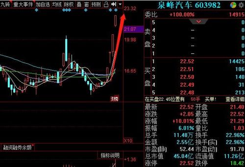 2024澳门今晚必开一肖,理论分析解析说明_经典款83.205