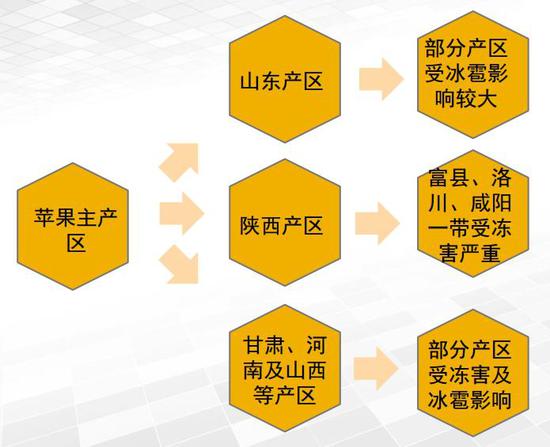 2024澳门今晚揭晓特马，安全保障策略_可信版XNO568.52