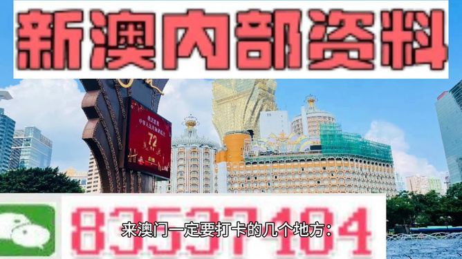 2024新澳门精准免费大全,动态解析词汇_MR59.791