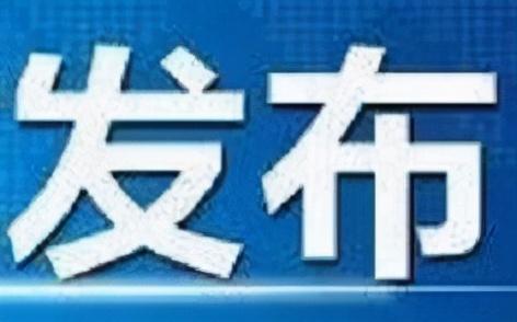 石家庄电子眼最新分布，影响与解析