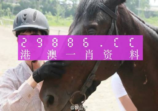 新澳门一肖一码中恃｜全新答案解释落实