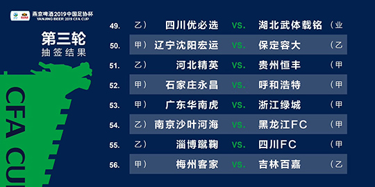 2024新澳门精准资料免费提供,深入数据应用执行_HT37.216