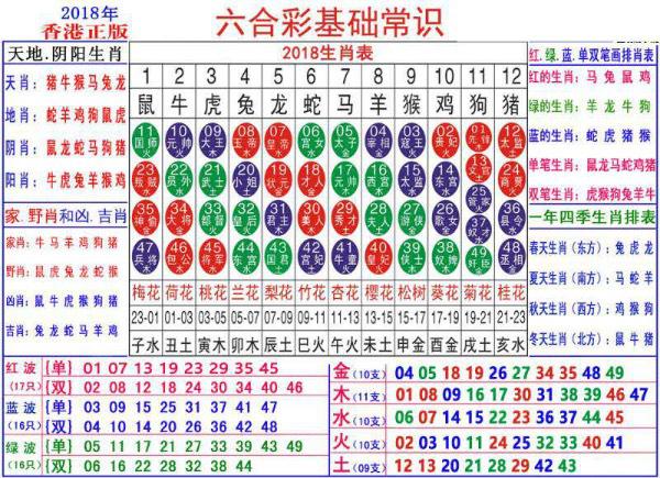 2024新澳门正版免费资料生肖卡｜最新答案解释落实