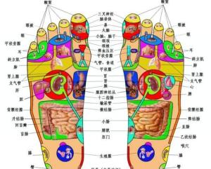 最新足部反射区示意图，揭示足部与身体健康的密切关联