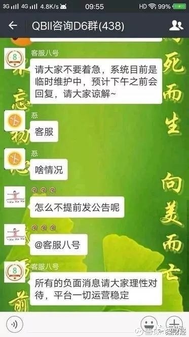 南京钱宝最新动态，深度剖析与未来前景展望