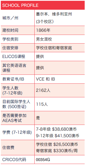 2004新澳正版资料最新更新,定性评估说明_精英版18.65