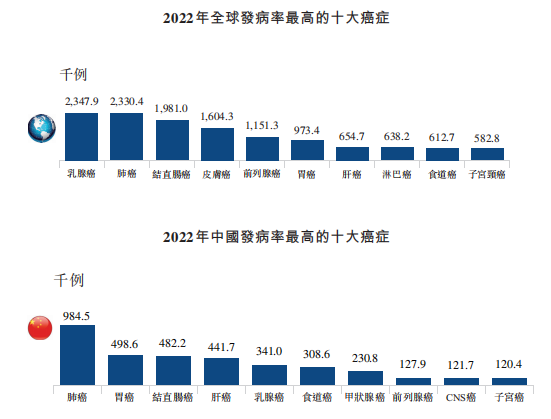 全球疫情最新排名及其影响深度分析